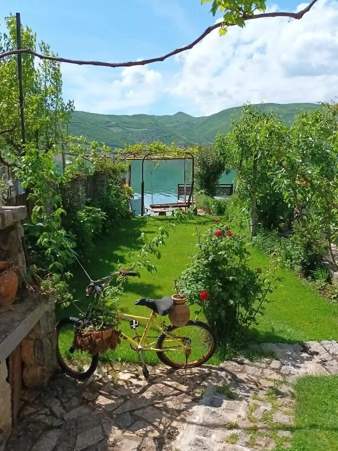 Guest House Lini 0*,  Albania